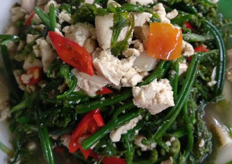 Tumis Pakis/Paku Tahu