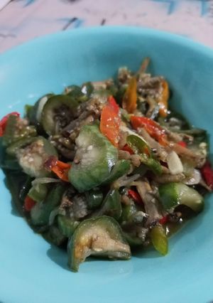 Foto resep Oseng terong teri