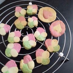 A picture of Sugar cookies.