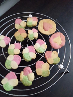 A picture of Sugar cookies.