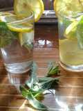 عصير الليمون مع نعناع منعش