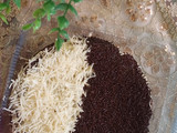 Bolu Kukus Ketan Hitam