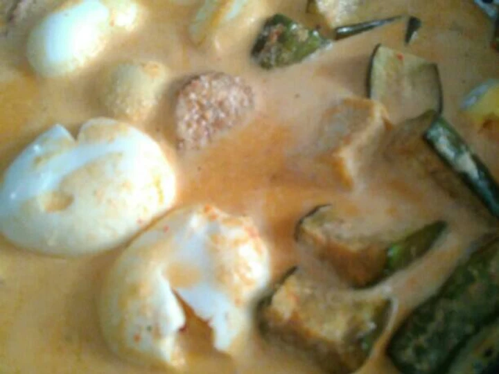 Langkah Gampang Menyiapkan Resep Pecel Santan isi Terong/Telur/Tempe/Tahu yang Enak Banget Anti Ribet, Bisa Manjain Lidah