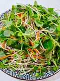Rau mầm trộn chay
