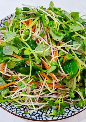 Hình của món Rau mầm trộn chay.