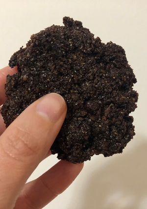 Una foto de Galletas de quinoa inflada, cacao y coco