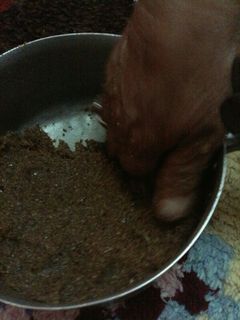 صورة لوصفة طمينة مرمز بأيدي أمي العزيزة رب يحفظها من كل مكروه