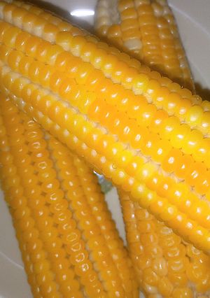 A picture of Boiled corn.