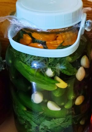 عکسی از دستور 🥒خیارشور🥒