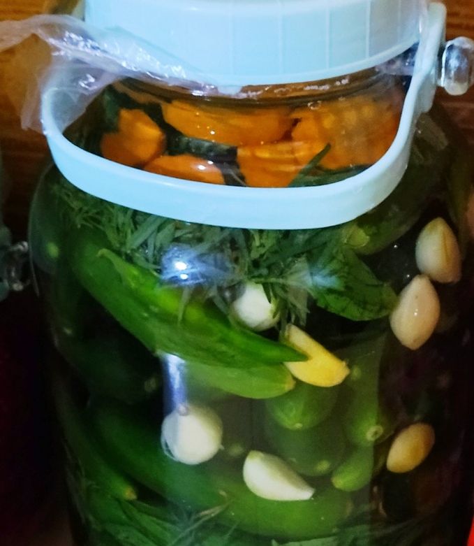 عکسی از دستور 🥒خیارشور🥒
