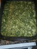 Tortitas de espinaca con apio