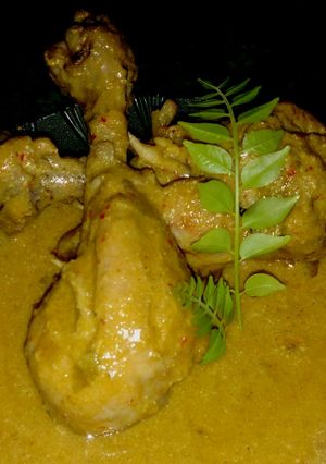 A picture of Chicken Vindaloo.