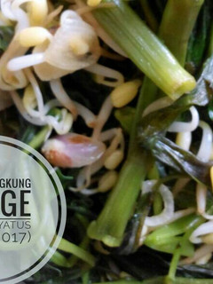 Foto resep Tumis Kangkung Tauge