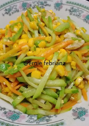 Foto resep Tumis Labu Siam Wortel Jagung