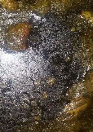 عکسی از دستور قرمه سبزی جا افتاده