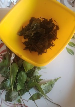 নিমপাতা ভাজা (neem pata vaza recipe in bengali) রেসিপির প্রধান ছবি