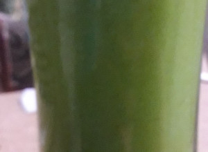 Una foto de Batido verde quema grasas y limpia el intestino