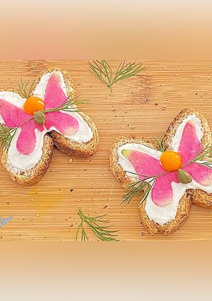 Une photo de Toast au carré frais /radis