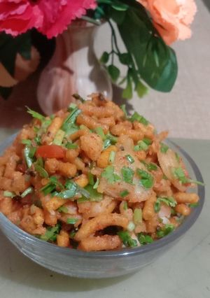 તીખી જાડી સેવ ની ચાટ રેસીપી મુખ્ય ફોટો