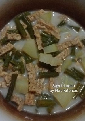 Foto resep Sayur Lodeh