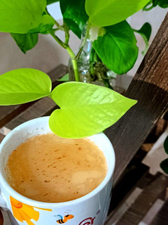 عکسی از دستور چای کرک