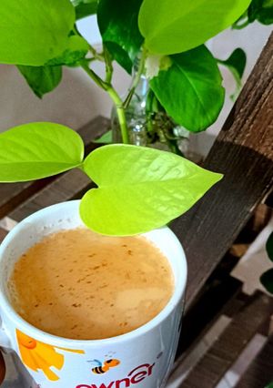 عکسی از دستور چای کرک
