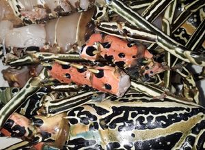 صورة لوصفة الاستاكوزا أو lobster