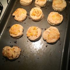 Orange biscuits A picture of Orange biscuits.