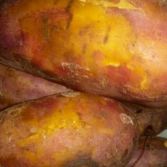 Sweet potatoes A picture of Sweet potatoes.