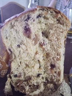 Una foto de Pan dulce🌲🌲😋