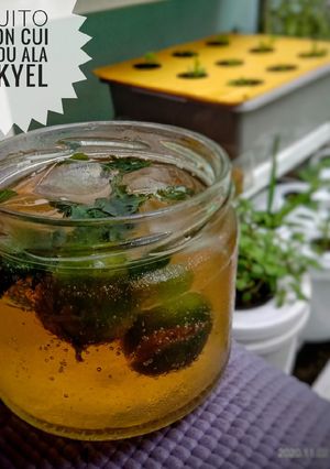 Foto resep Mojito Lemon Cui Madu ala MakYel