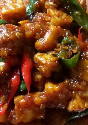 Foto resep Orek Tempe Basah pedes manis Endeus