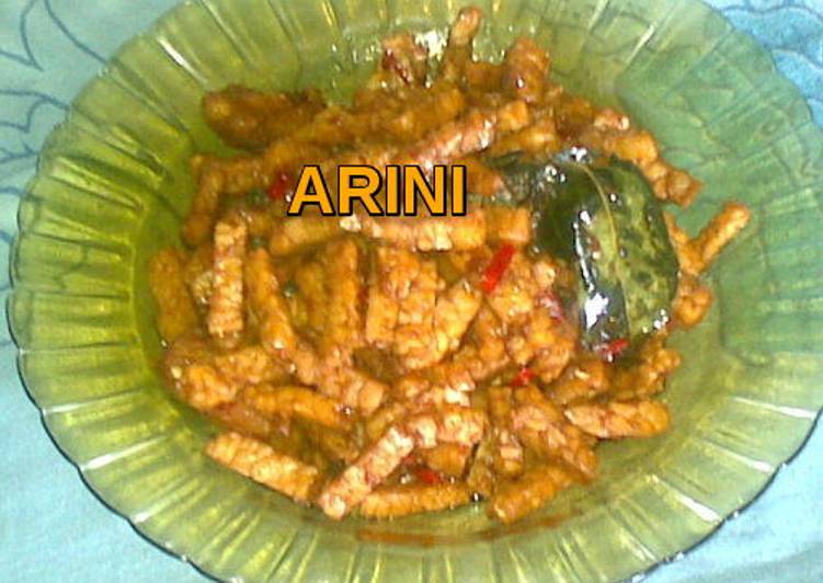  Resep  Oseng2 Tempe  maknyuss oleh Arini K Cookpad