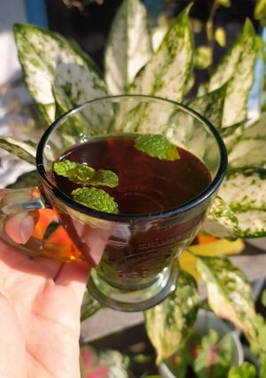 Foto resep Hot Mint Tea