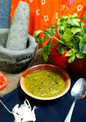 ગાર્લિક ટોમેટો ચટણી(Garlic Tomato Chutney Recipe In Gujarati) રેસીપી મુખ્ય ફોટો
