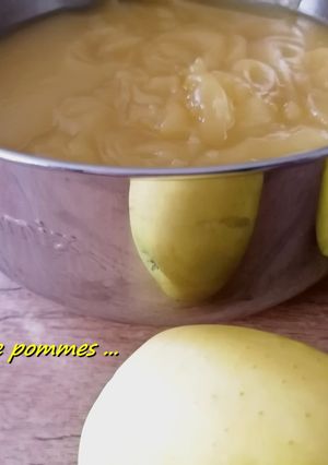 Une photo de Compote de pommes sans sucre ajouté au Cook Expert