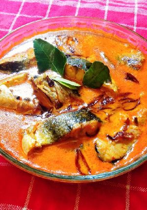 Foto resep Ikan patin masak santan