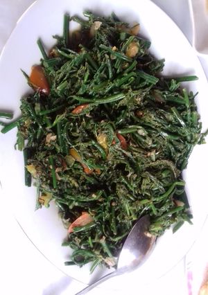 Foto resep Tumis Pakis Udang Special