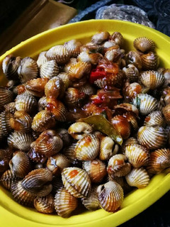 Foto resep Kerang Dara saus padang