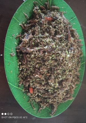 Foto resep Pindang serai simple ala niken