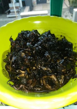 Foto resep Cumi Masak Hitam