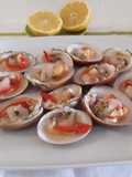 Conchas finas