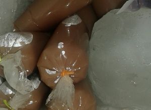 Foto resep Es Lilin Pop Ice Coklat (simpel, murah, enak)