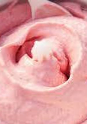 Una foto de Helado de frutilla