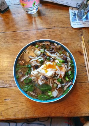 A picture of Udon noodle soup.
