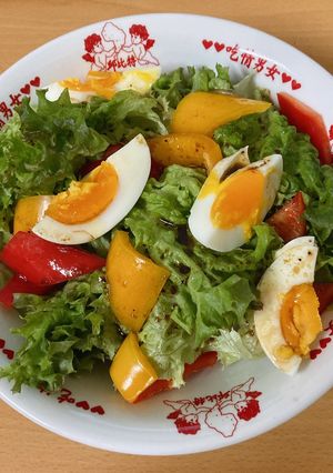 減肥用 沙拉🥗 的食譜成品照片