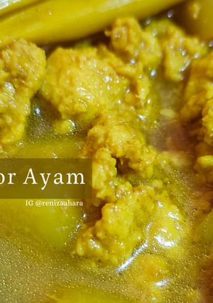 Foto resep MPASI Opor Ayam