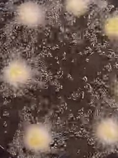 Una foto de Papas duquesas