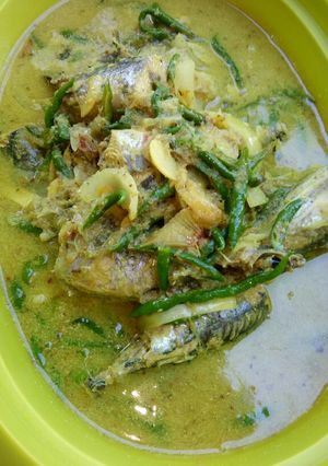 Foto resep Tongkol masak santan