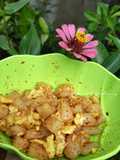 12. Cilor Aci Telorr